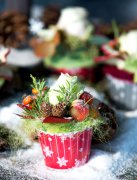 bloemen en planten vvbvanbree     1137